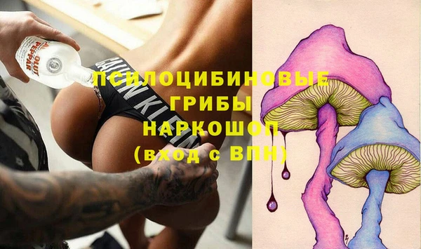 PSILOCYBIN Абдулино