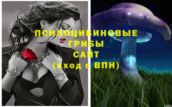 PSILOCYBIN Абдулино