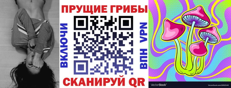 Галлюциногенные грибы Cubensis  Архангельск 