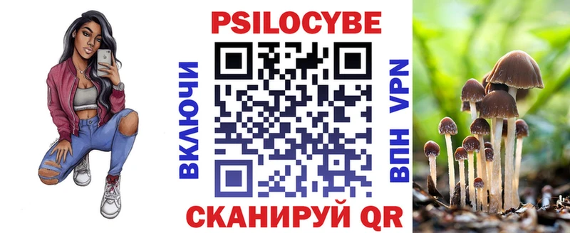 Галлюциногенные грибы Psilocybe Архангельск